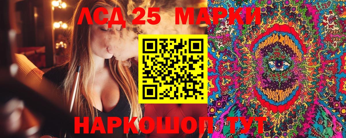 Галлюциногенные грибы Котовск