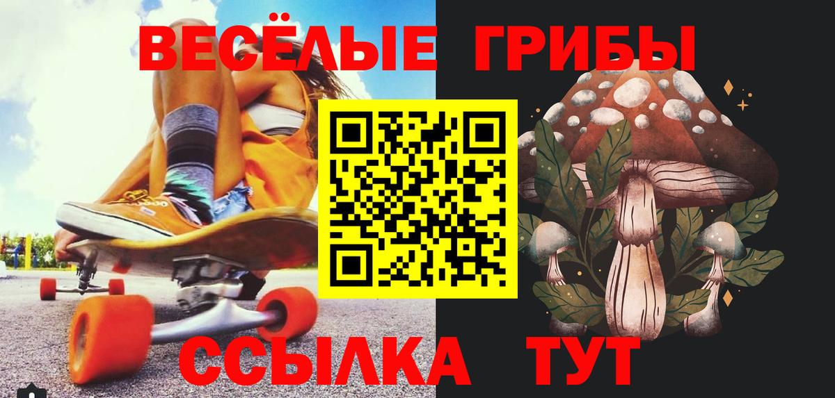 Галлюциногенные грибы GOLDEN TEACHER  Вход с VPN  Котовск 